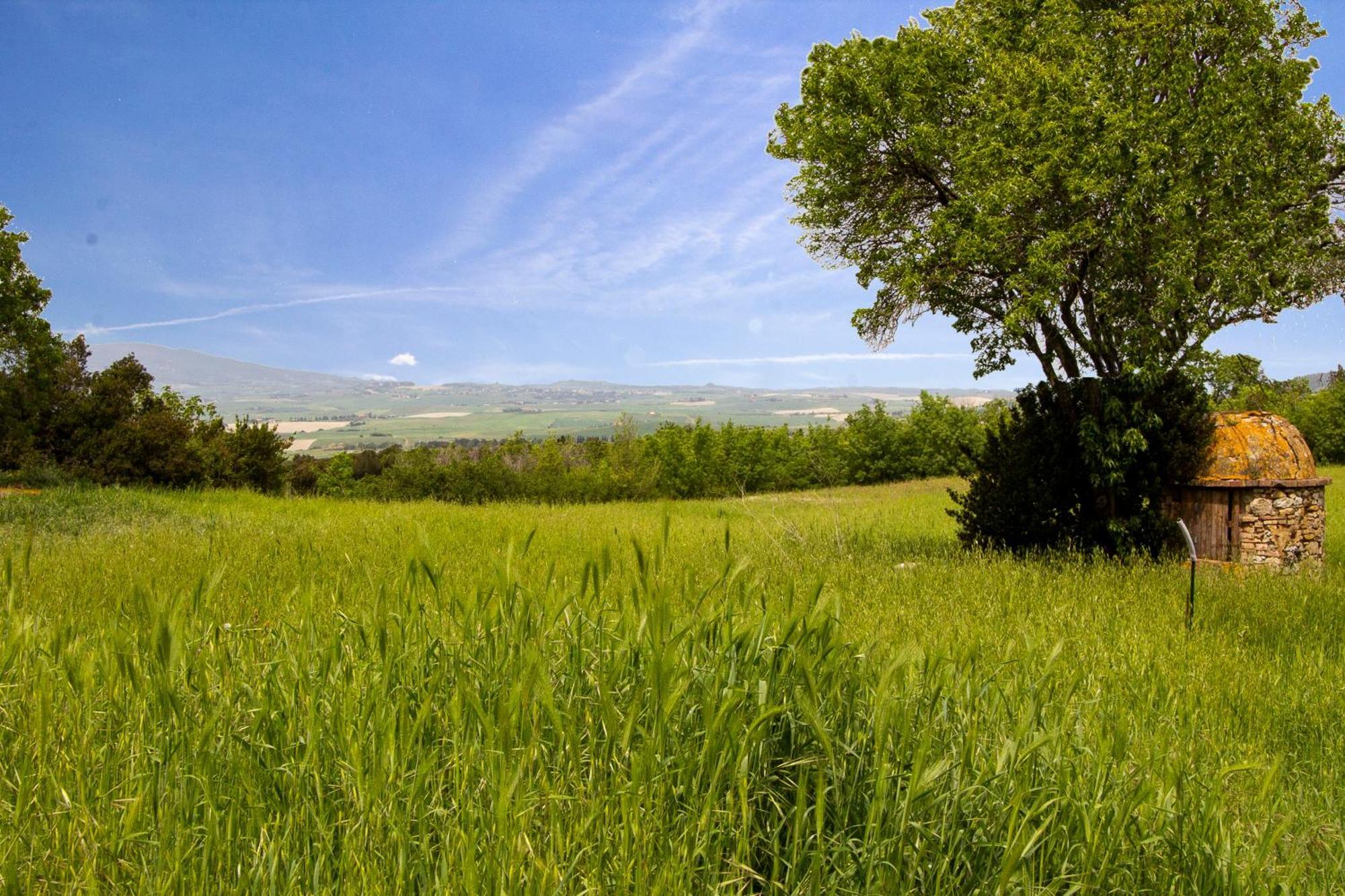 Casetta De Sodoni By Tuscanywego Apartment